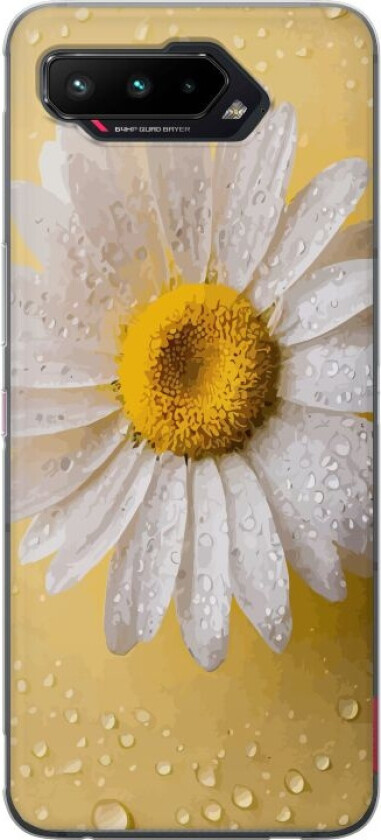 Mobildeksel til Asus ROG Phone 5 med Porselensblomst motiv