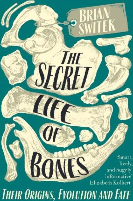 The Secret Life of Bones av Brian Switek