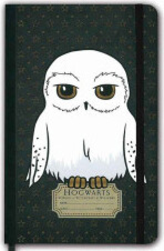 Harry Potter notatbok Hedwig