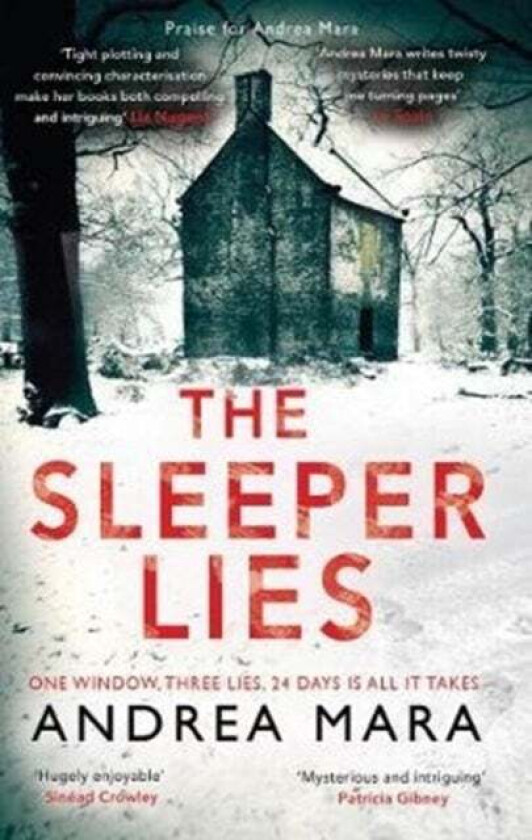 The Sleeper Lies av Andrea Mara