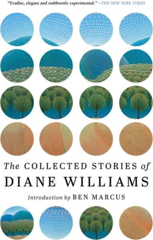 The Collected Stories Of Diane Williams