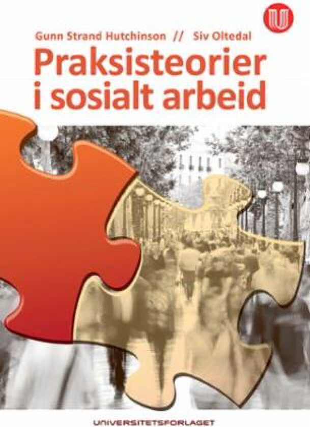 Praksisteorier i sosialt arbeid av Gunn Strand Hutchinson, Siv Oltedal