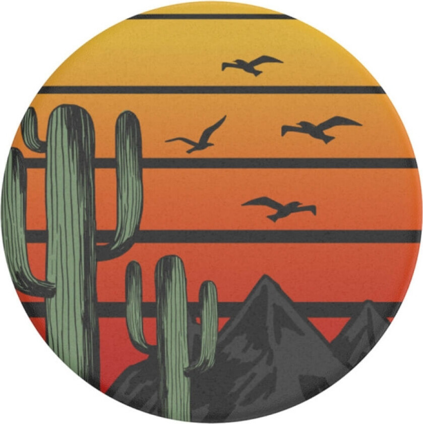 Saguaro Sunset