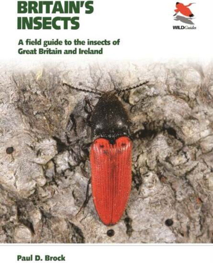 Britain's Insects av Dr. Paul D. Brock