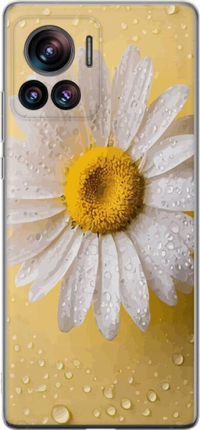 Mobildeksel til Motorola Edge 30 Ultra med Porselensblomst motiv