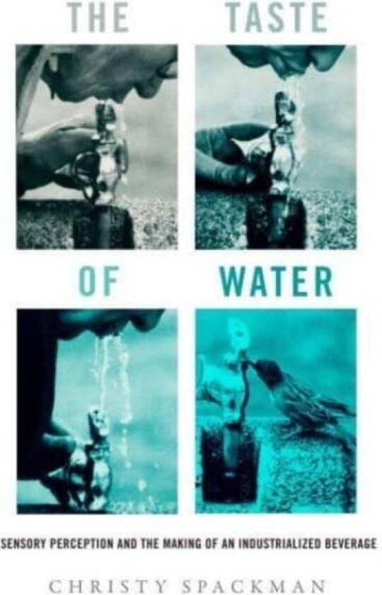 The Taste of Water av Christy Spackman
