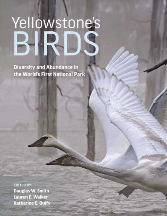 Yellowstone¿s Birds