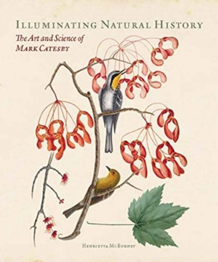 Illuminating Natural History av Henrietta McBurney