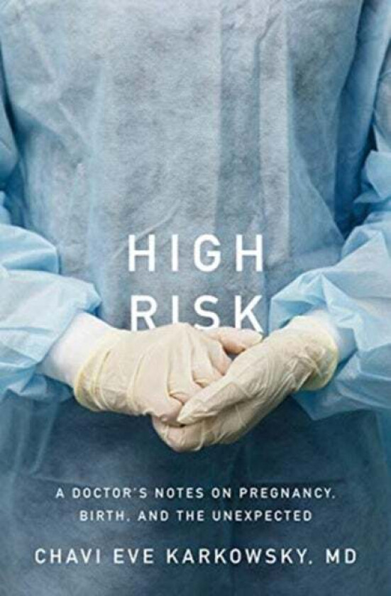 High Risk - Stories Of Pregnancy, Birth, And The Unexpected Av Chavi Eve Karkowsky