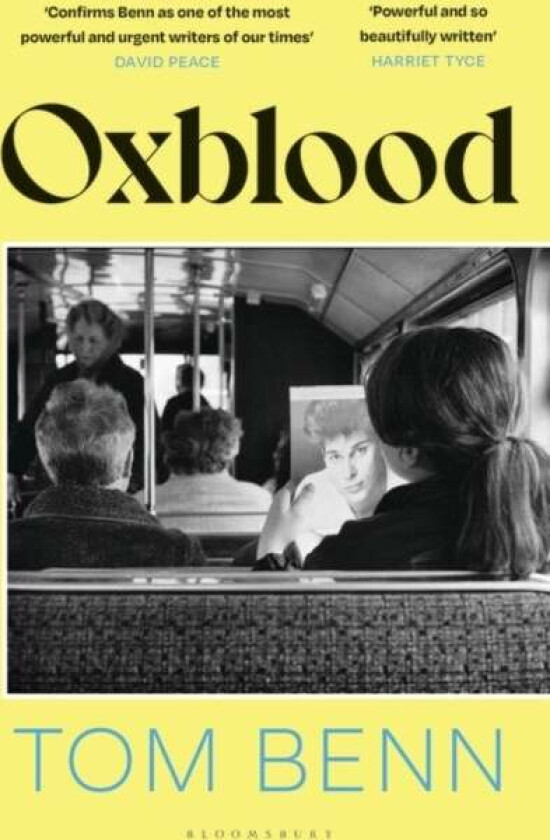 Oxblood Av Benn Tom Benn