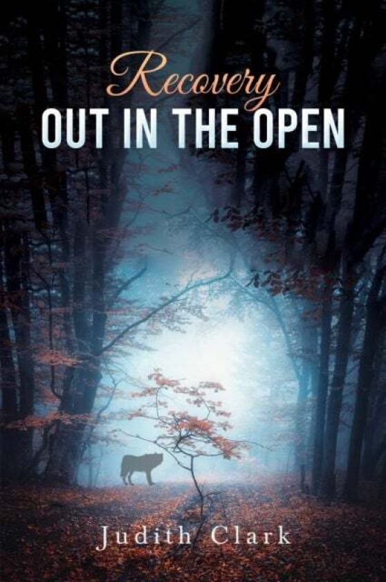 Recovery: Out In The Open Av Judith Clark