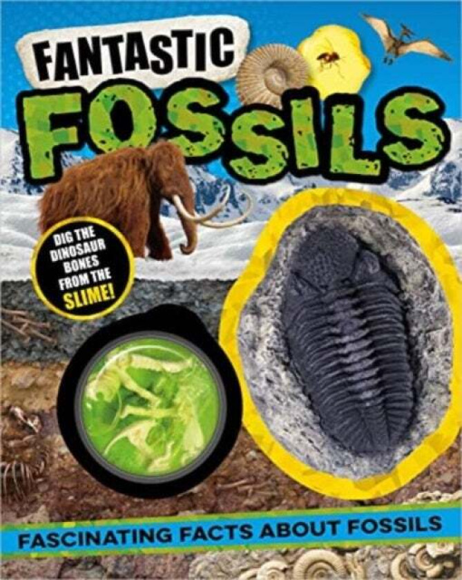 Non-Fiction Books Fantastic Fossils av Laura Baker
