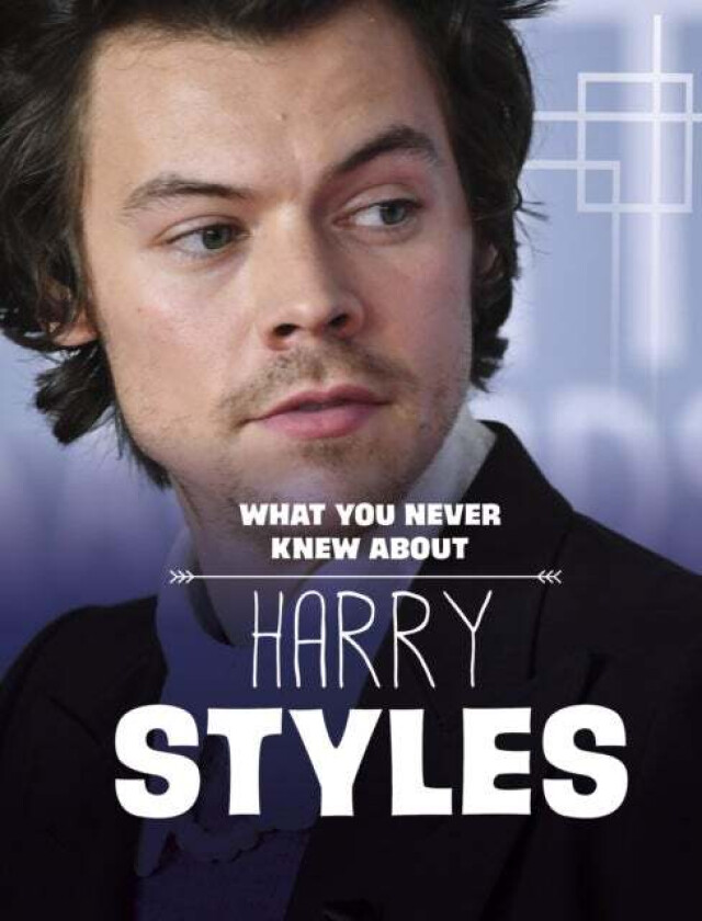 What You Never Knew About Harry Styles av Dolores Andral