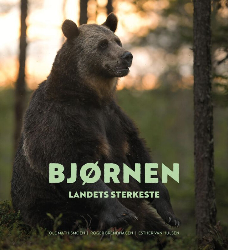 Bjørnen av Ole Mathismoen