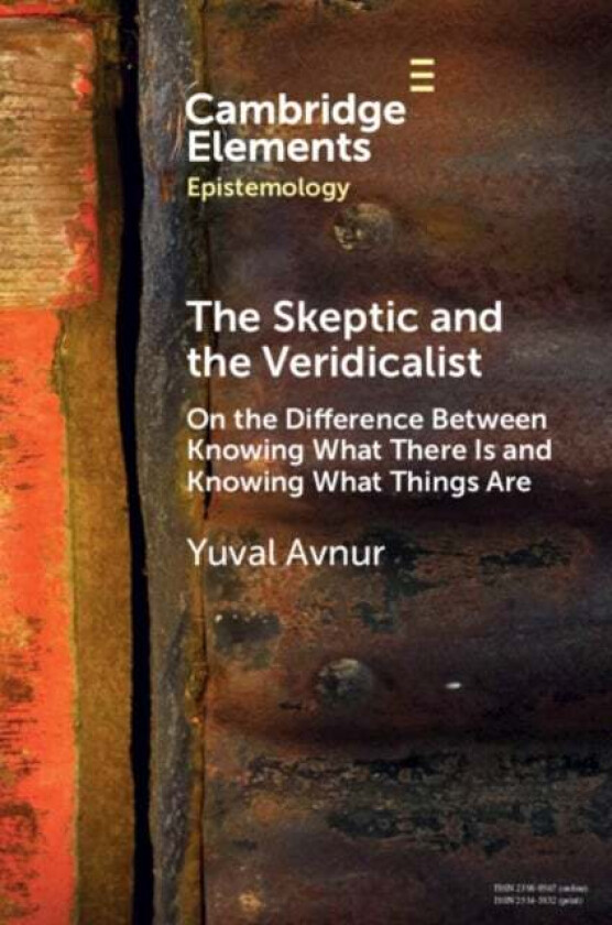 The Skeptic and the Veridicalist av Yuval (Scripps College) Avnur