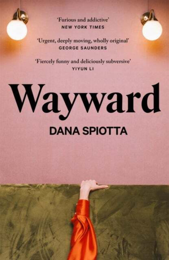 Wayward av Dana Spiotta