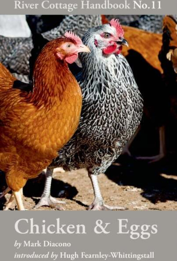 Chicken & Eggs av Mr Mark Diacono