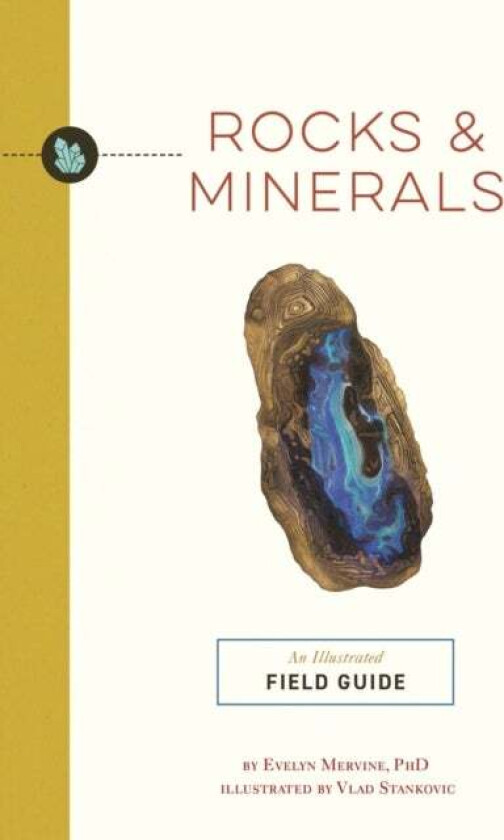 Rocks and Minerals av Evelyn Mervine
