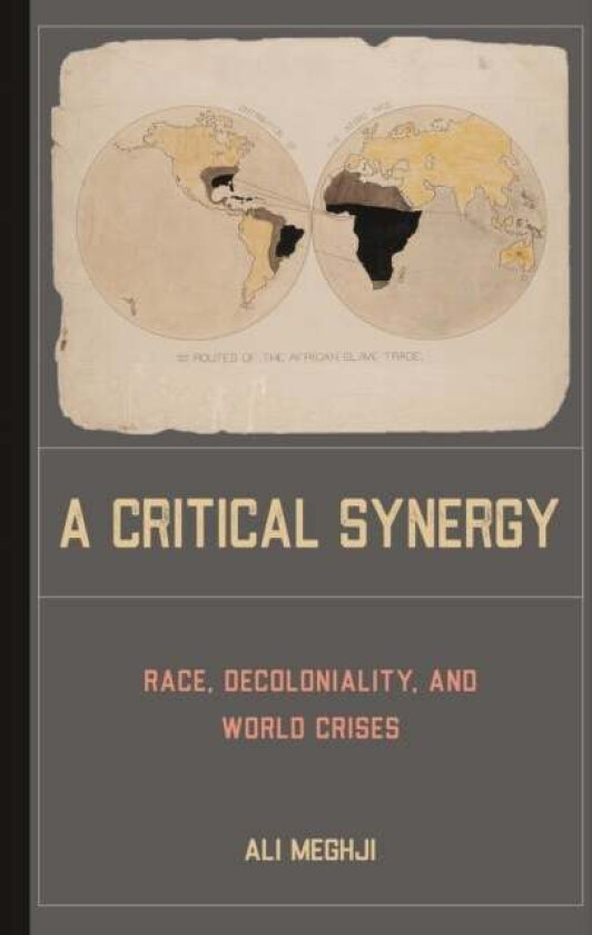 A Critical Synergy Av Ali Meghji