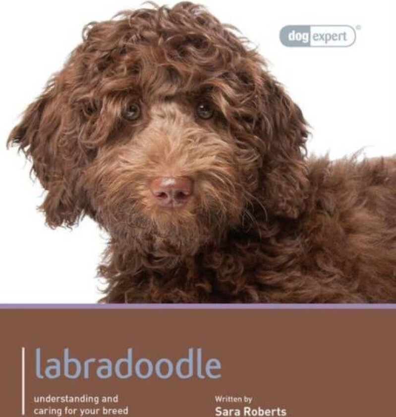 Labradoodle - Dog Expert av Sarah Rogers