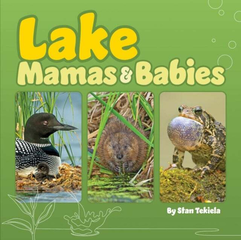 Lake Mamas and Babies av Stan Tekiela