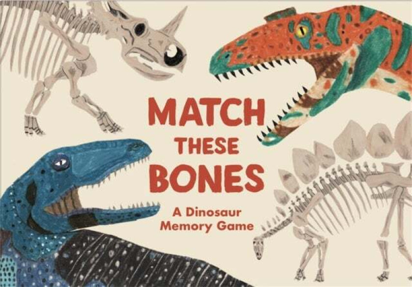 Match these Bones av Paul Upchurch