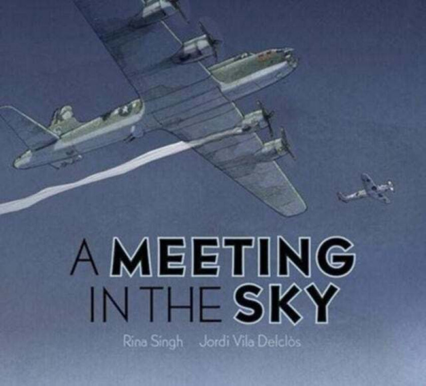 A Meeting in the Sky av Rina Singh