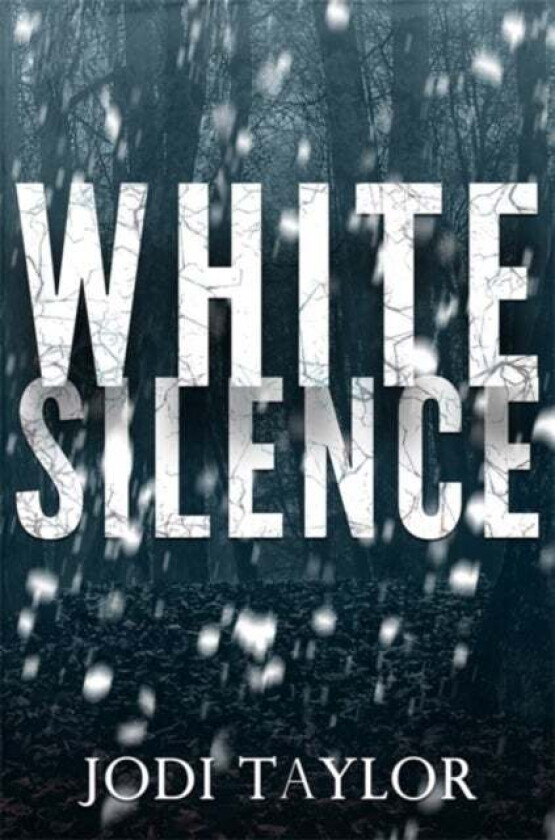 White Silence Av Jodi Taylor