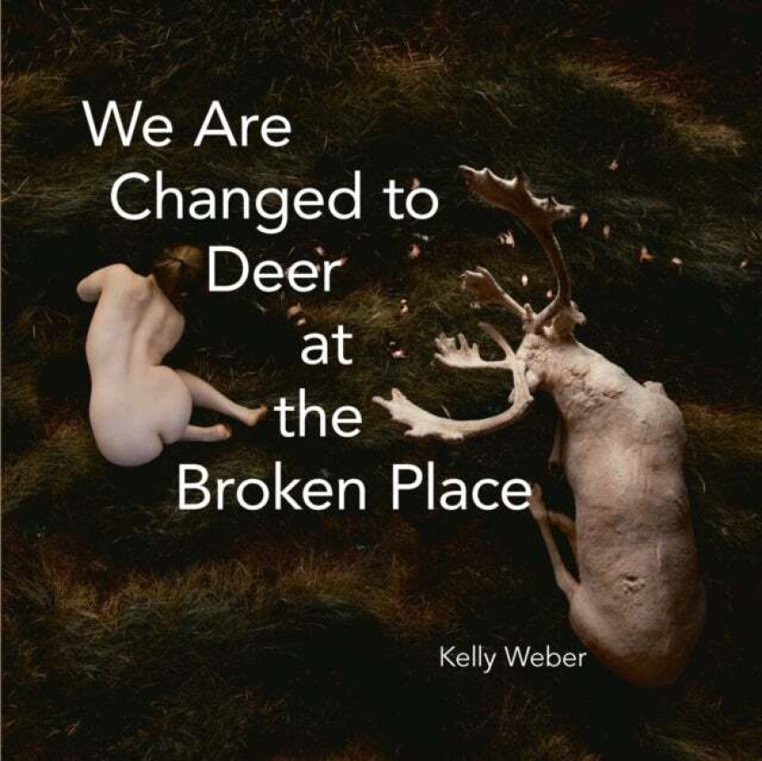 We Are Changed To Deer In The Broken Place Av Kelly (Po Weber