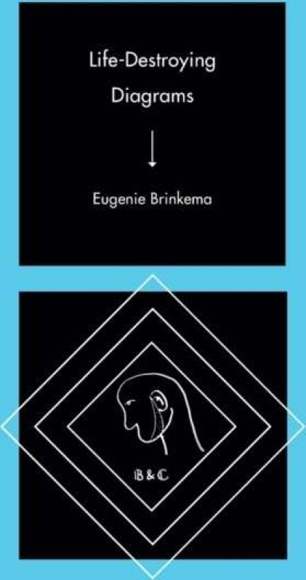 Life-Destroying Diagrams av Eugenie Brinkema