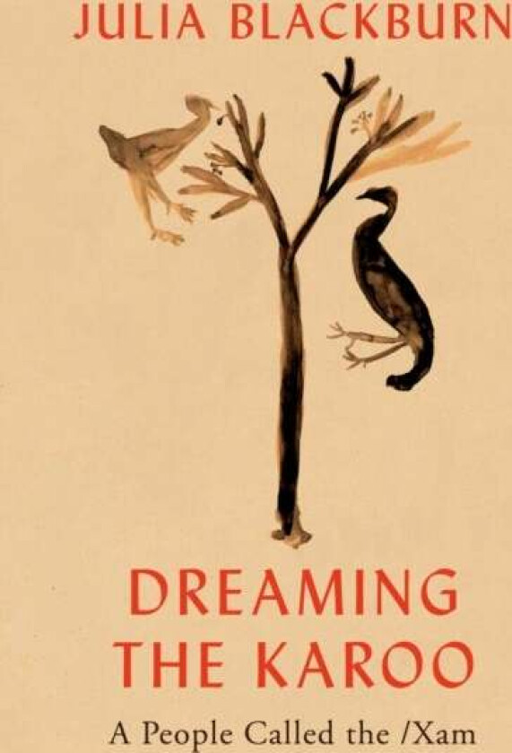 Dreaming the Karoo av Julia Blackburn