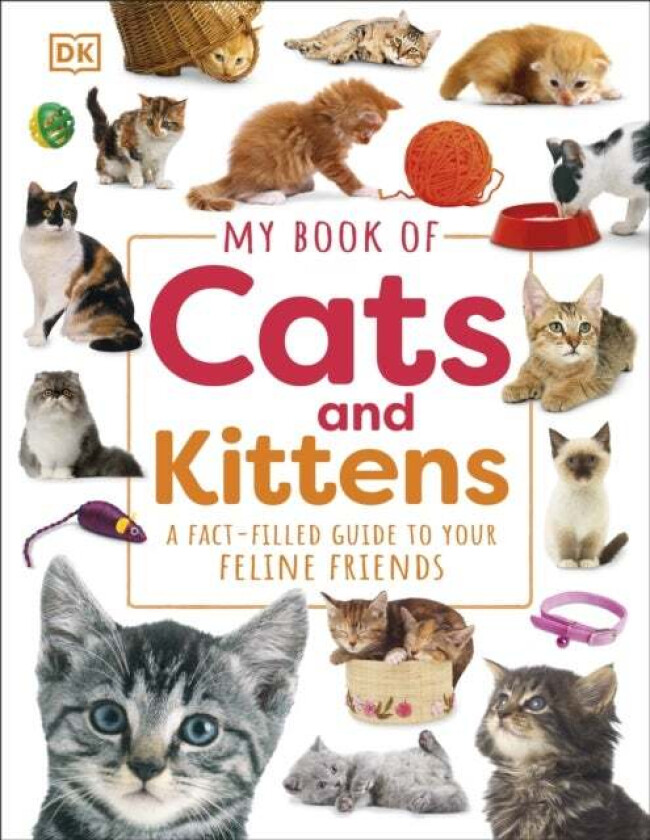 My Book of Cats and Kittens av DK