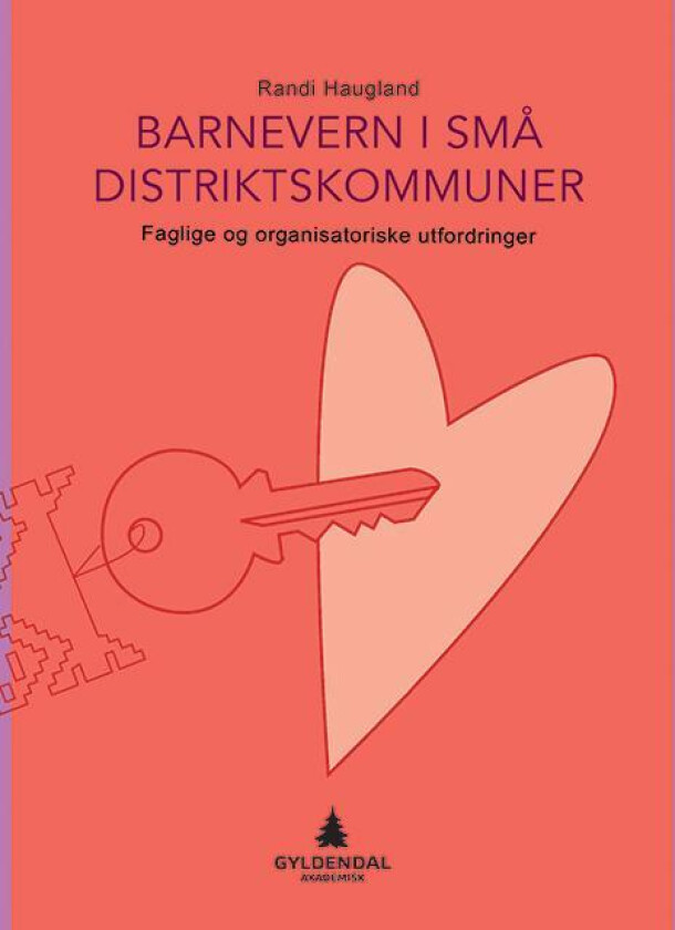 Barnevern i små distriktskommuner av Randi Haugland