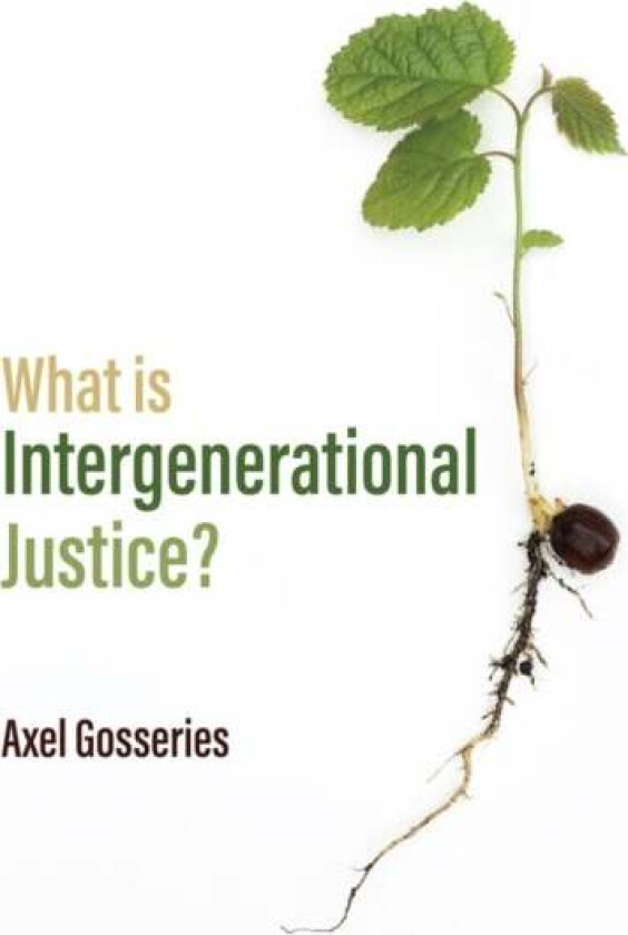 What is Intergenerational Justice? av A Gosseries
