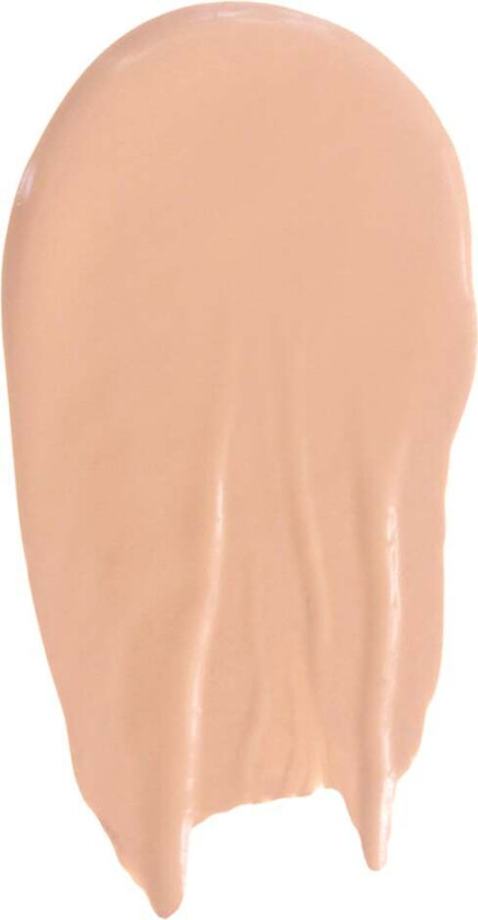 the Balm Anne T. Dotes Liquid Concealer #20 Warm Light Medium