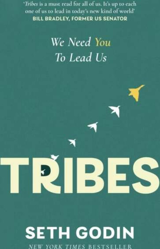 Tribes Av Seth Godin