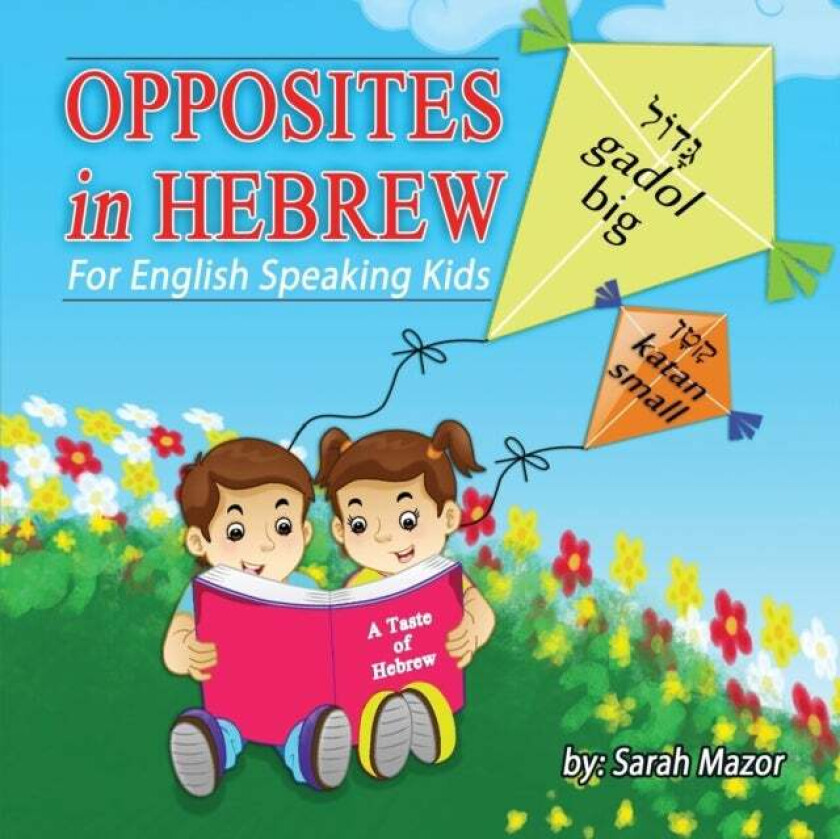 Opposites In Hebrew For English-Speaking Kids Av Sarah Mazor
