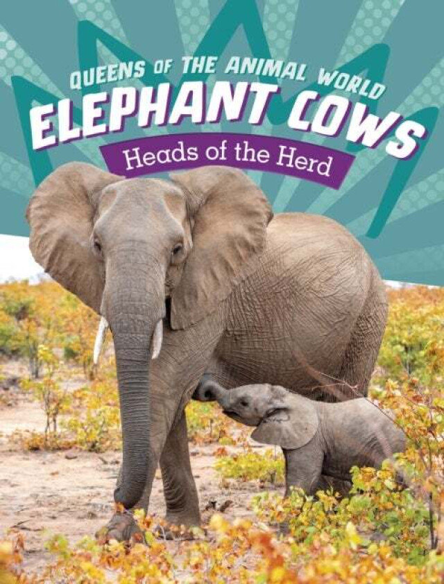 Elephant Cows av Maivboon Sang