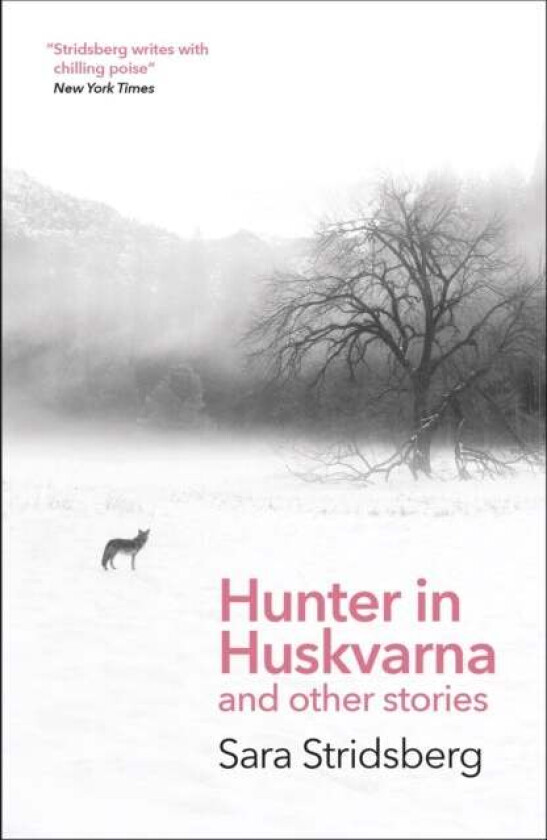 Hunter in Huskvarna av Sara Stridsberg