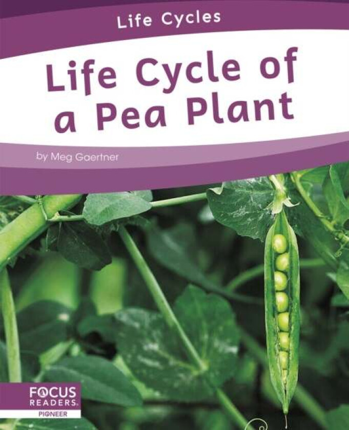 Life Cycles: Life Cycle of a Pea Plant av Meg Gaertner