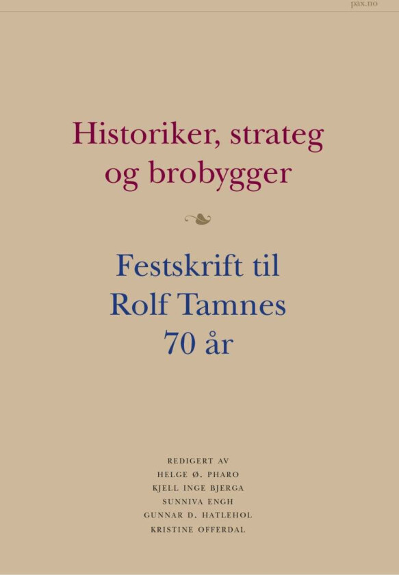 Historiker, strateg og brobygger