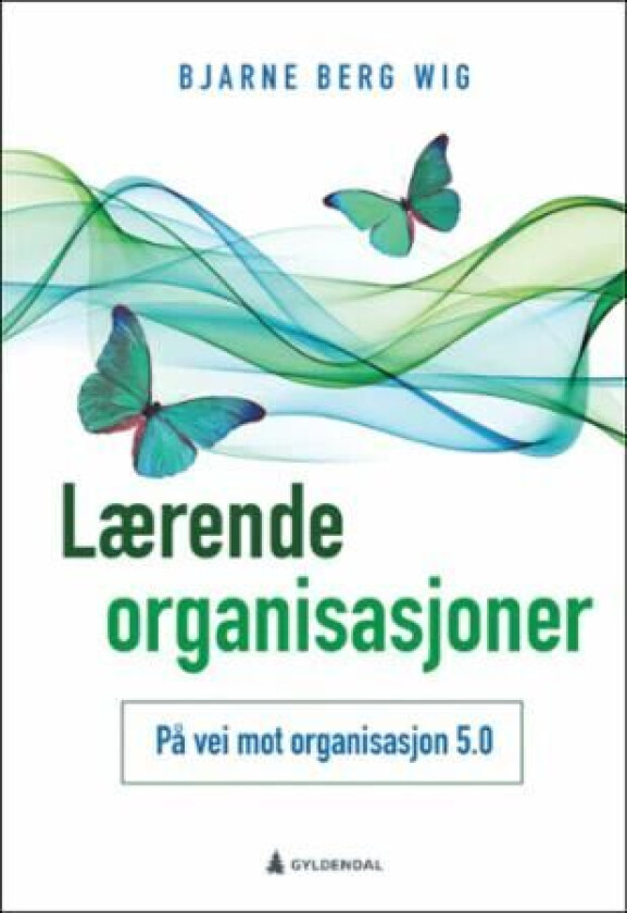 Lærende organisasjoner av Bjarne Berg Wig