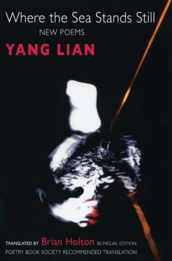 Where the Sea Stands Still av Lian Yang, Yang Lian