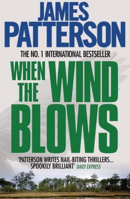 When the Wind Blows av James Patterson