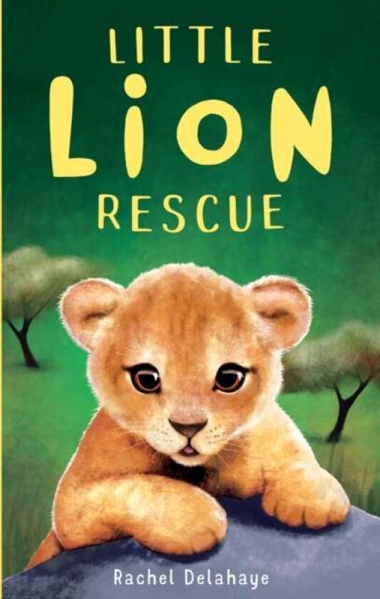 Little Lion Rescue Av Rachel Delahaye