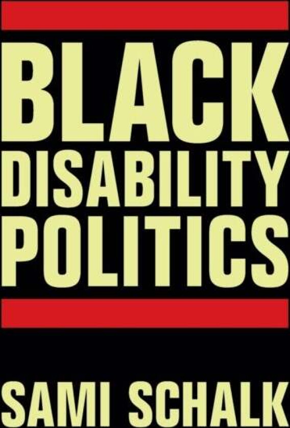 Black Disability Politics av Sami Schalk