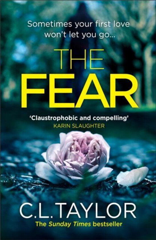 The Fear av C.L. Taylor