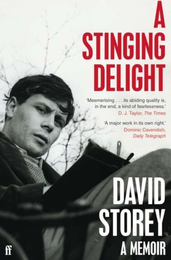 A Stinging Delight av David Storey
