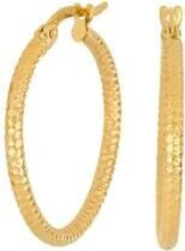 8 Karat Gull Øredobber 30821660300