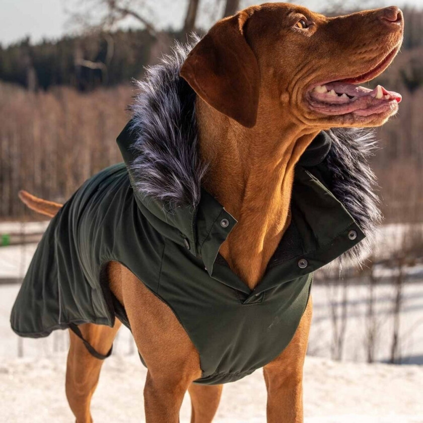 Rukka Frostbiter Hundedekken Dark Forest (45 cm)